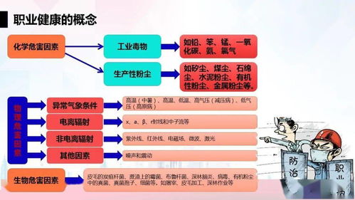 升级版职业安全与健康管理培训 构建全面健康管理体系，赋能员工与组织